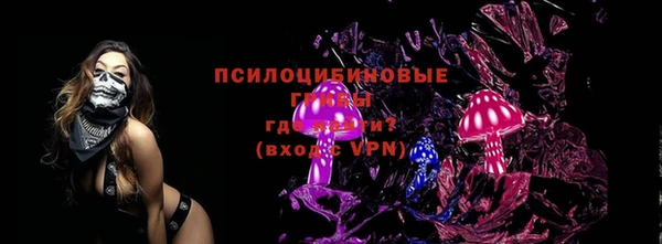 дурь Арсеньев