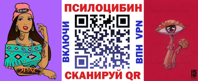 Псилоцибиновые грибы Psilocybe  купить   Среднеуральск 